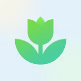 PlantApp - Plantidentificatie