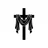 Bible Scroll: Daily Verse icon