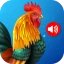 Tierklingeltöne icon
