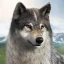 Wolfsspiel icon