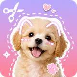 Stickify: Sticker Maker icon