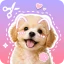 Stickify: Sticker Maker icon