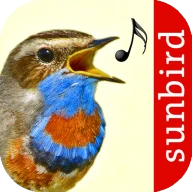 Vogelstimmen Id - Ruf + Gesang icon