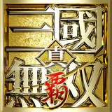 真・三國無双 覇