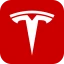 Tesla icon