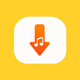 Tube Video Downloader MP3 MP4