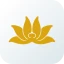 Vietnam Airlines icon
