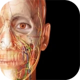 Visible Body Suite icon