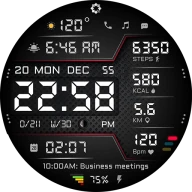 A440 Gesundheits-Display icon