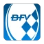 BFV icon