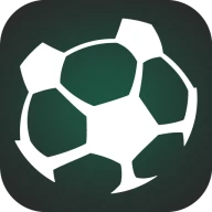 TEAMPUNKT icon