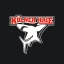 Kölner Haie icon