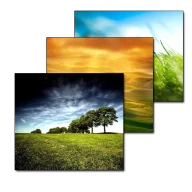 Wallpaper Changer icon