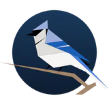 BirdNET Live