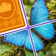 ジグソードロップ：ソリティアパズル icon