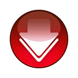 Video Downloader Pro