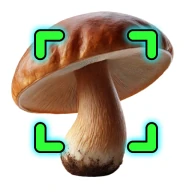 Pilze per Foto bestimmen icon