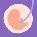 24baby – Zwanger & Baby icon