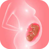 Schwangerschaft: Baby-Tracking