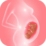 Schwangerschaft: Baby-Tracking icon