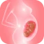 Schwangerschaft: Baby-Tracking icon
