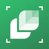 Pflanzen Bestimmen: LeafSnap