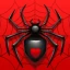 Araignée Solitaire icon