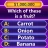 TRIVIA Master -Wort Gehirntest icon