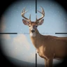 Trophy Hunter – Casual Game icon