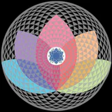 High Vibe TV Spiritual Network