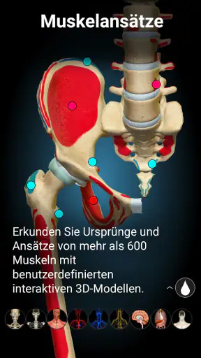 3D-Anatomie - Anatomy Learning screenshot 10