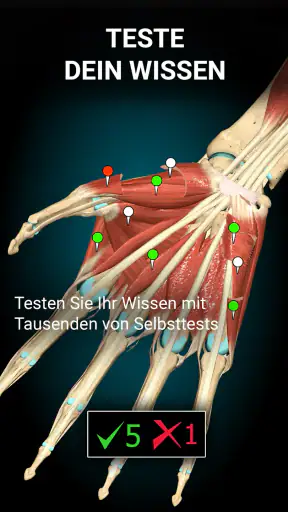 3D-Anatomie - Anatomy Learning screenshot 11