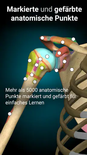 3D-Anatomie - Anatomy Learning screenshot 9