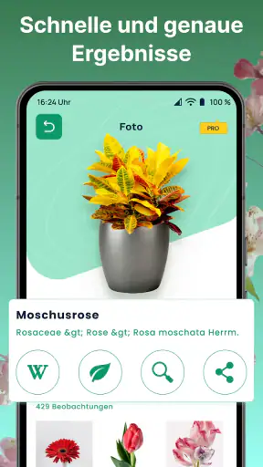 AI Pflanzen Erkennen & Blumen screenshot 10