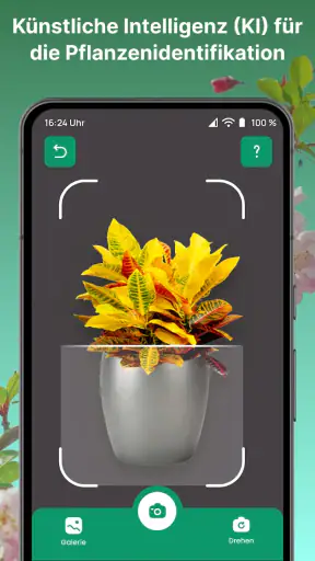 AI Pflanzen Erkennen & Blumen screenshot