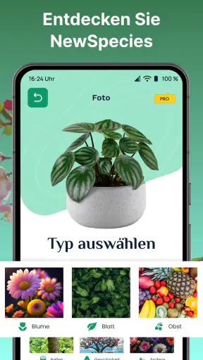AI Pflanzen Erkennen & Blumen screenshot