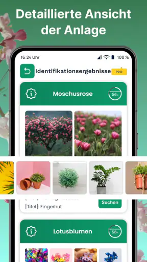 AI Pflanzen Erkennen & Blumen screenshot