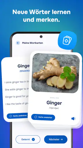AI Sprachprofi: Lernen screenshot