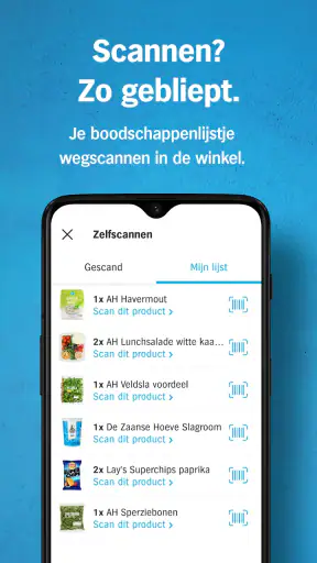 Albert Heijn supermarkt screenshot