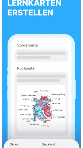 Noji: Vokabel Karteikarten screenshot