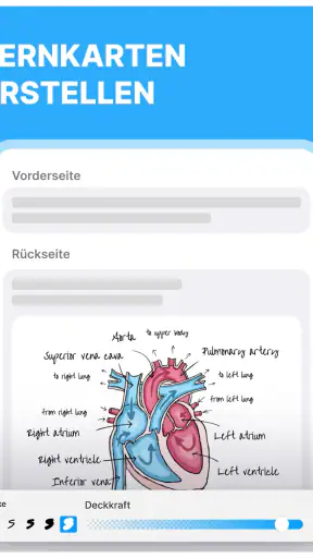 Noji: Vokabel Karteikarten screenshot 9