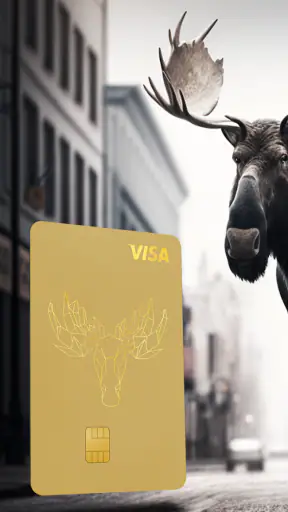 Bank Norwegian screenshot 1