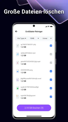 BlazeClean screenshot