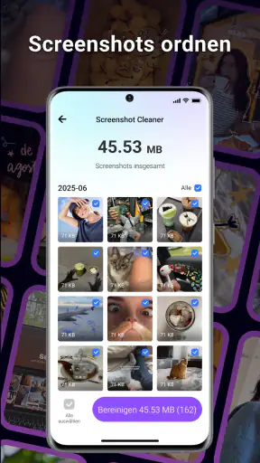 BlazeClean screenshot