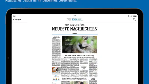 BNN ePaper screenshot 12