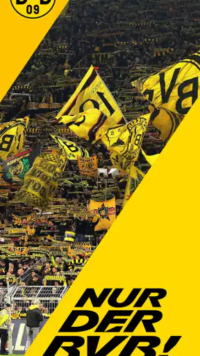 BVB screenshot