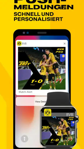 BVB screenshot