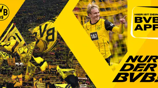 BVB screenshot