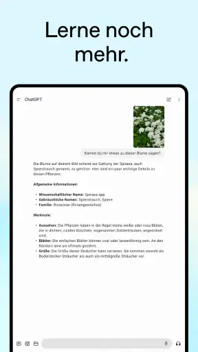ChatGPT screenshot 10