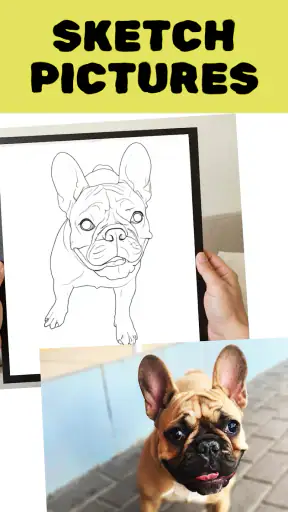 Colorify: Coloring Book Maker screenshot 12